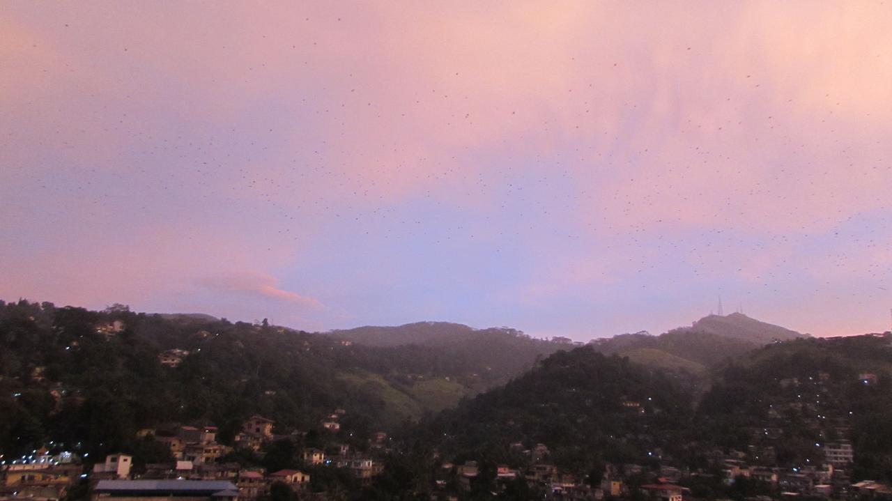 Bunk Planet Otel Kandy Dış mekan fotoğraf